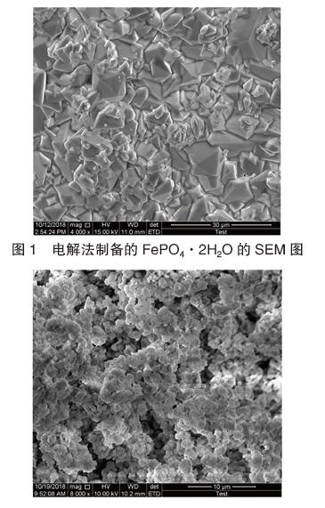 電解法制備的FePO4·2H2O 的SEM 圖